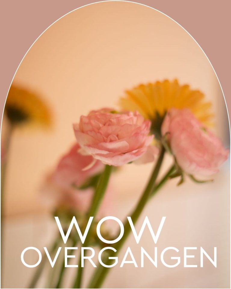 WOW Overgangen